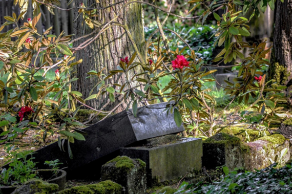 Ein grosser Stein ist umgefallen und liegt auf den kleineren Fragmenten anderer Steine. Über den Steinen Büsche mit roten Blüten.