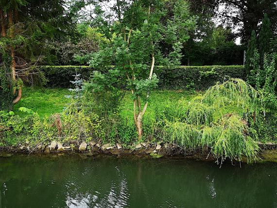 Man sieht ein mit Bäumen, Büschen und Gras bewachsenes Ufergrundstück an der Lippe. Auf den ehemaligen jüdischen Friedhof, der hier lag, deutet nichts mehr hin.