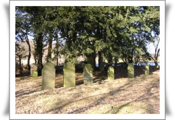 Some gravestones in front of tall trees