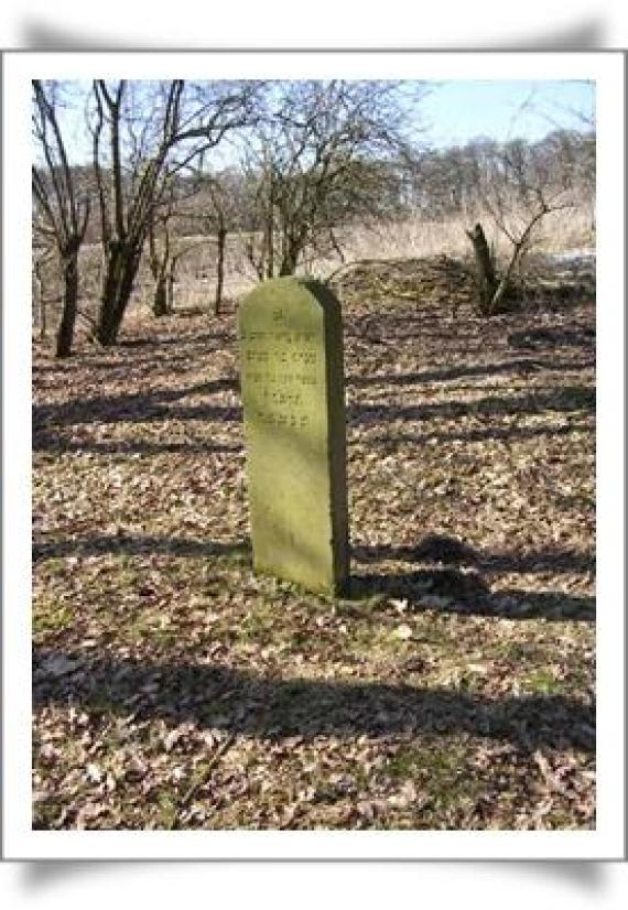 A single stone on a free area. Far with it a wire mesh fence, half-high trees in front of the fence.