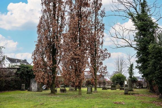 Friedhof Kampweg
