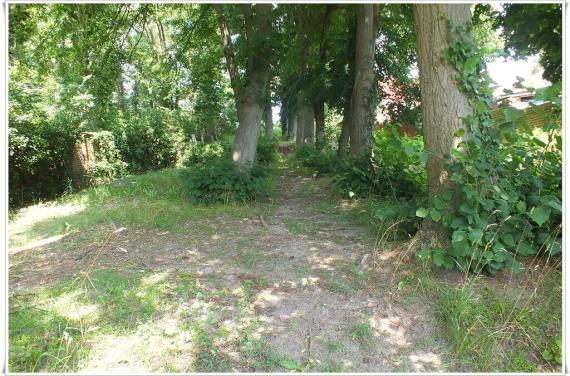 Trees, shrubs. Between them typical tombstones.