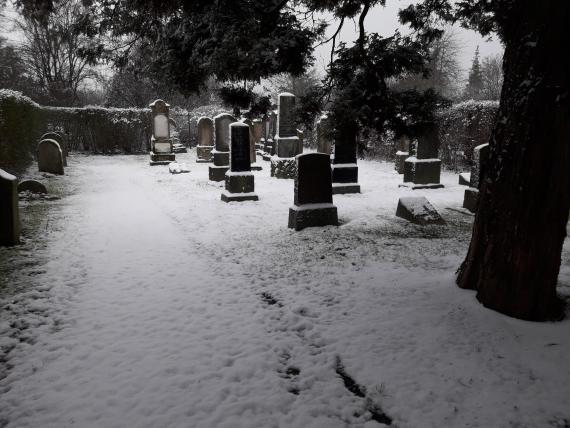 The photot shows the Jewish cemetery covered with snow on a cold January morning. A path divides the plot, which is surrounded by a man-high hedge. On the left side of the path there are single older gravestones in a row. To the right of the path, most of the gravestones stand in several rows behind a large tree.