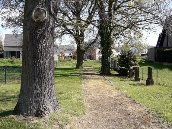 The cemetery is located on an oblong plot of land, which is divided in the middle by a gravel path. All gravestones are on the right side of this path and face it. Between the gravestones and in the entrance area of the cemetery there are several old trees. The property is surrounded by a low wire mesh fence. Behind the cemetery several residential buildings of a new housing area can be seen.