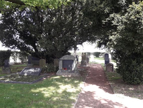 Zu sehen sind verschiedene Grabsteine im vorderen Bereich des jüdischen Friedhofs Hemmerden. Mittig verläuft ein roter Kiesweg, zu beiden Seiten des Weges stehen die Grabsteine in mehreren Reihen. Zwischen den Gräbern befinden sich größere Sträucher und Bäume, die weitreichenden Schatten werfen. 