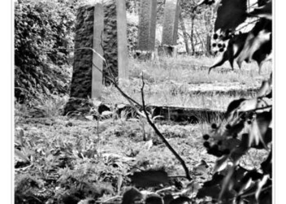 Blick auf den Friedhof