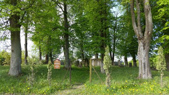 Large trees, in front a chain-link fence with a gap as an entrance. Behind it a lawn with a group of gravestones in the background.