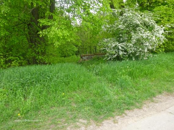 Ein Waldrand, davor ein Stück Feldweg, ein Trampelpfad im Gras und ein abgebrochenes Stück Mauer am Waldrand.