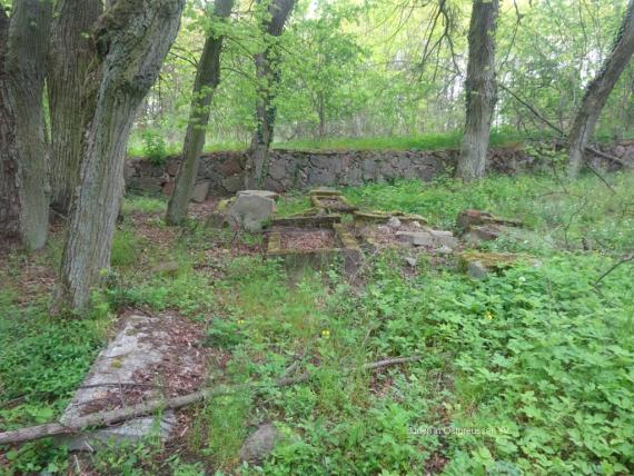 A low wall in the woods, rows of large trees in front of it, several rectangular grave remains on the ground with grass growth in the open areas.