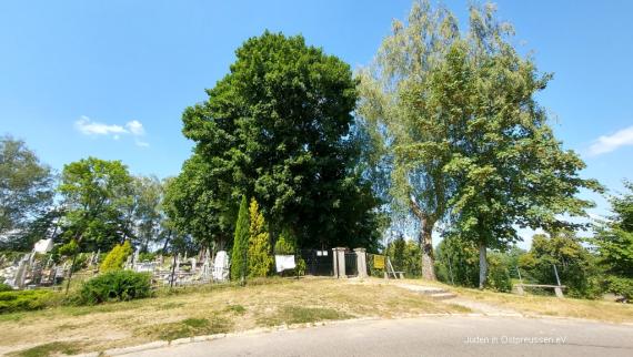 Hill, two flat steps lead to an entrance gate in a wire fence, behind which quite a few graves can be seen to the left of the gate. In the background treetops of old trees.