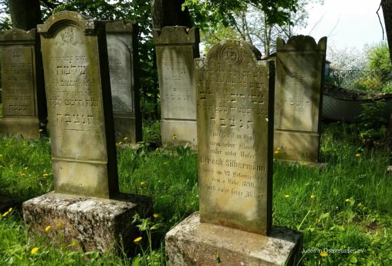 Two rows of Jewish gravestones, slabs standing side by side on large pedestals, surrounded by grass with yellow dandelion flowers.