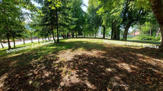 Schattige leicht gewölbte Rasenfläche mit großen Bäumen am Rande, dahinter links und rechts eine Asphaltstr. zu sehen, mit Beschriftung der Straßennamen in Polnisch und Deutsch.