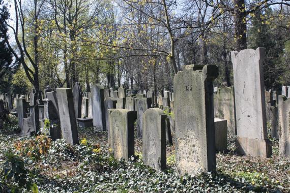 Alter Jüdischer Friedhof Breslau