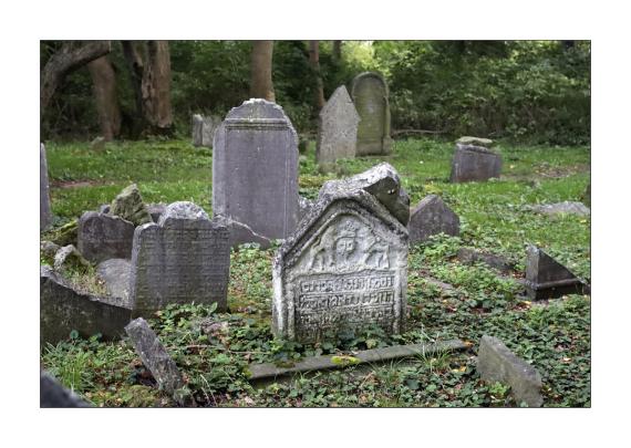 Lublin - Alter Jüdischer Friedhof ul. Kalinowszczyzna - Grabsteine Mazewot