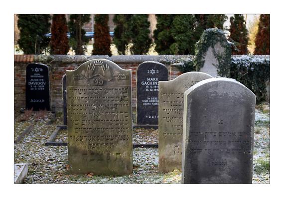 Jüdischer Friedhof Gleidingen