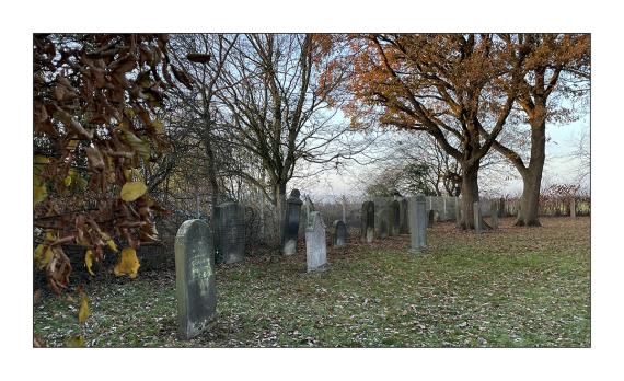 Jüdischer Friedhof Bolzum