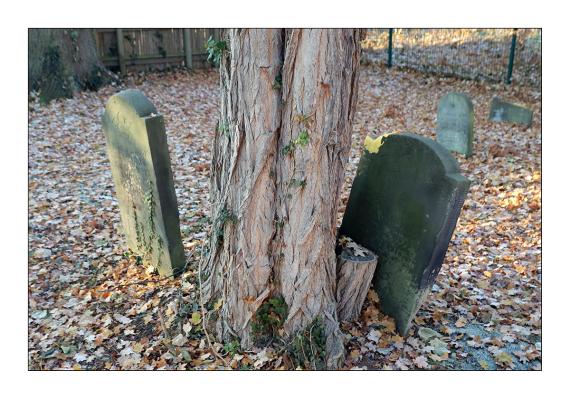 Jüdischer Friedhof Burgdorf