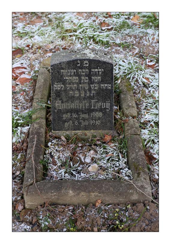 Jüdischer Friedhof - Peiner Straße - Hildesheim