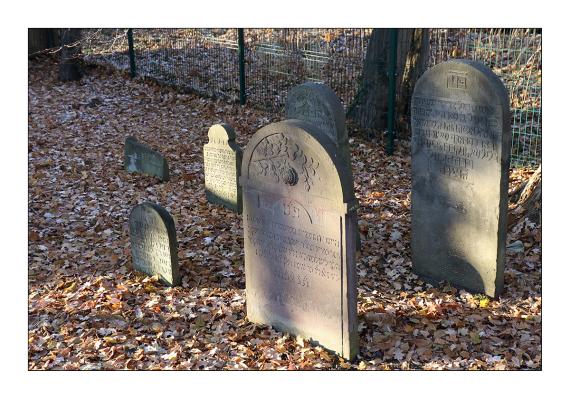 Jüdischer Friedhof Burgdorf