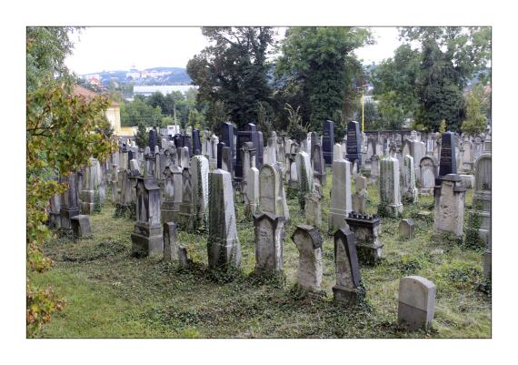 Neuer Jüdischer Friedhof Teplice
