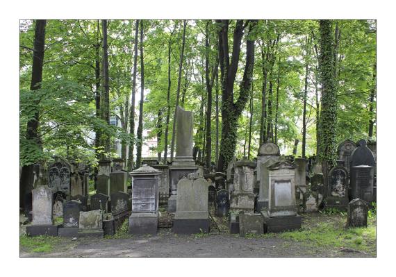 Neuer Jüdischer Friedhof - Dresden-Neustadt