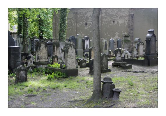 Alter Jüdischer Friedhof Dresden-Neustadt