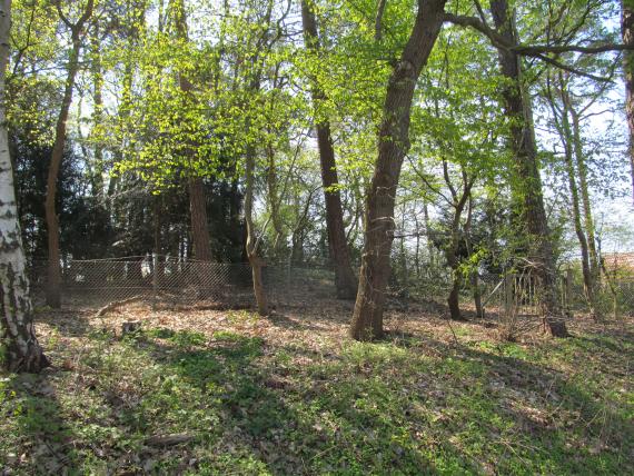 Alter jüdischer Friedhof Gütersloh