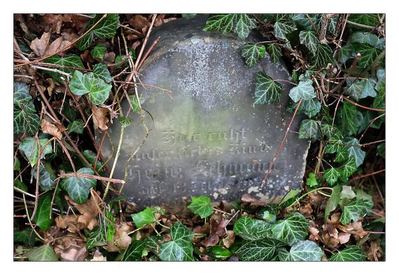 Neuer Jüdischer Friedhof Barsinghausen
