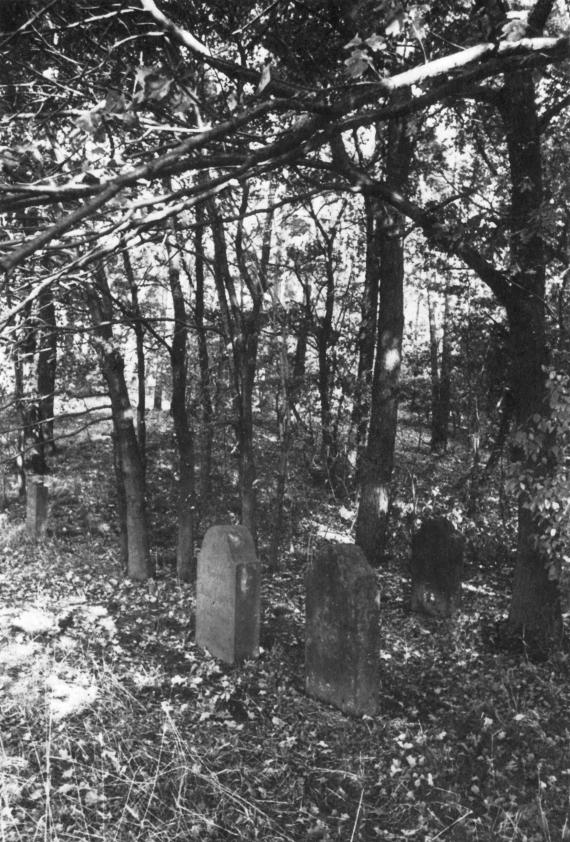 Alter Jüdischer Friedhof Gütersloh