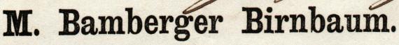 Invoice delivery bill from " Max Bamberger Birnbaum, Nuremberg " - written on November 10, 1863 - detail enlargement of company name