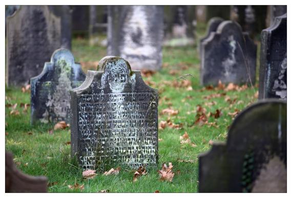 Jüdischer Friedhof Hameln