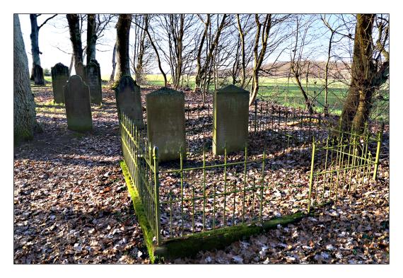 fenced family grave