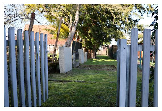 Jüdischer Friedhof Eldagsen