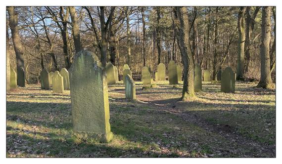 Jüdischer Friedhof Steinhude