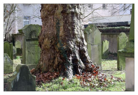 Jüdischer Friedhof Hameln