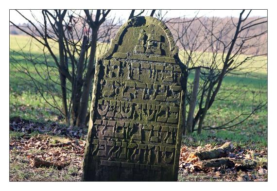 Jüdischer Friedhof Steinhude