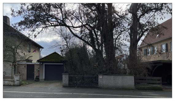 Neuer Jüdischer Friedhof Springe