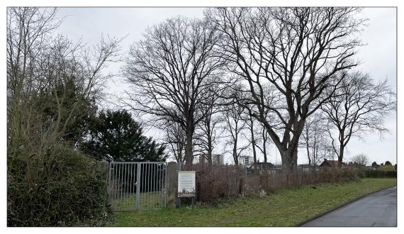 Jüdischer Friedhof Peine