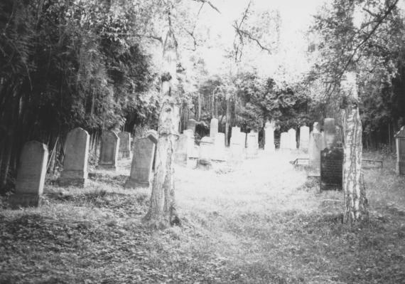 Maßbach Jüdischer Friedhof  - HdBG/Schwierz