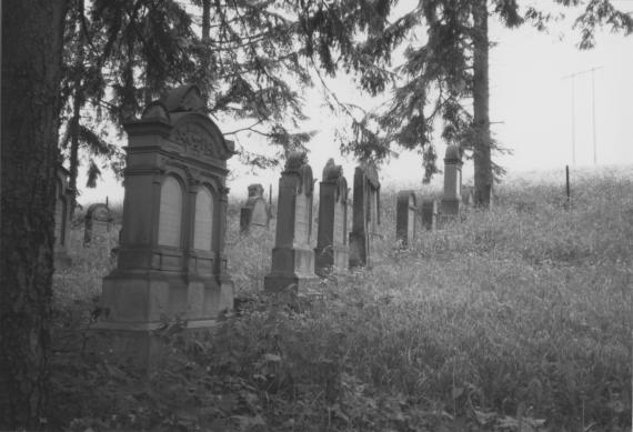 Mellrichstadt Jüdischer Friedhof  - HdBG/Schwierz