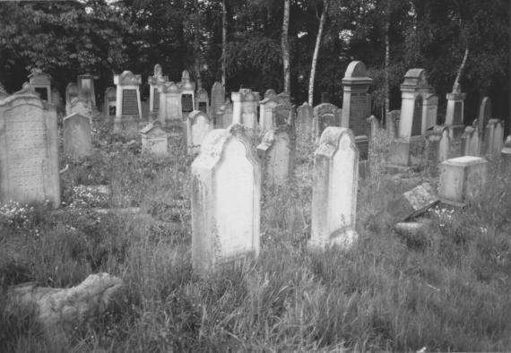 Neustädt Jewish Cemetery - HdBG/Schwierz