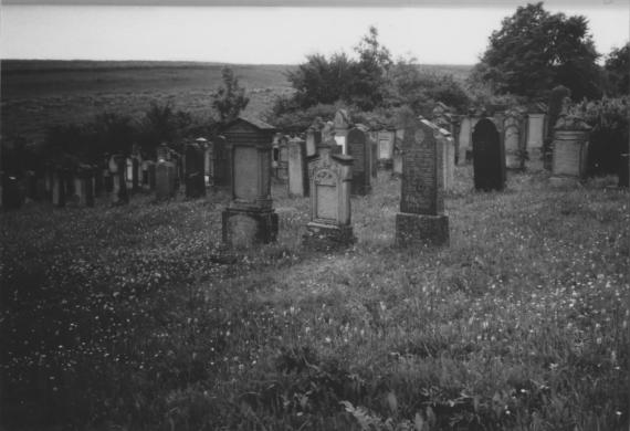 Oberlauringen Jüdischer Friedhof  - HdBG/Schwierz