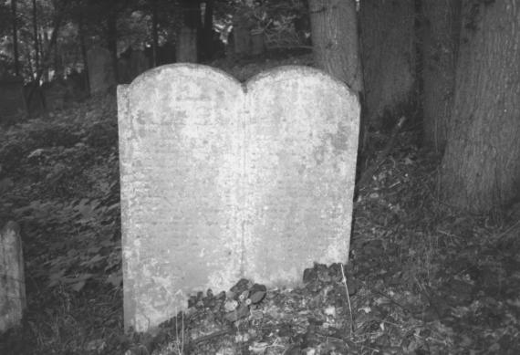 Reistenhausen Jewish Cemetery - HdBG/Schwierz