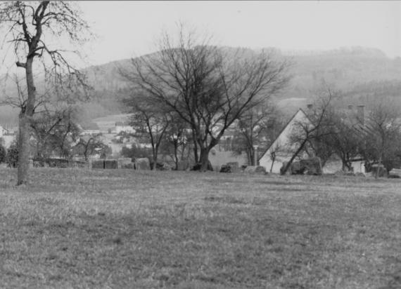 Schnaittach Jewish Cemetery - HdBG/Schwierz