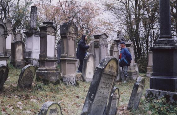 Schwanfeld Jüdischer Friedhof  - HdBG/Böhrer