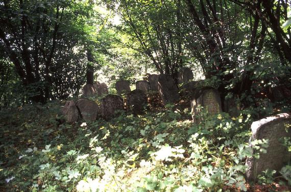 Sulzbach-Rosenberg Jüdischer Friedhof  - HdBG/Daxelmüller