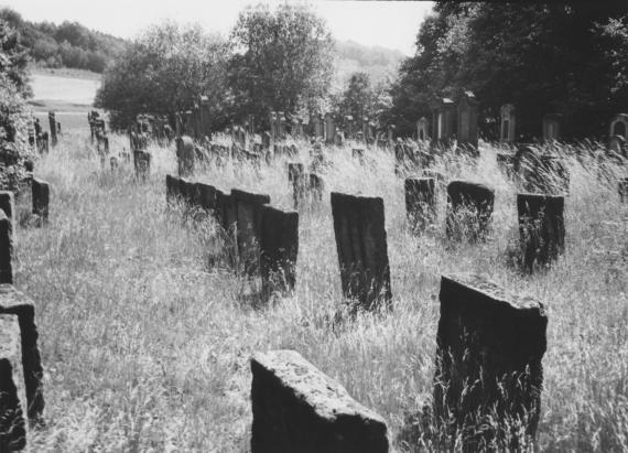 Zeckendorf Jüdischer Friedhof  - HdBG/Schwierz