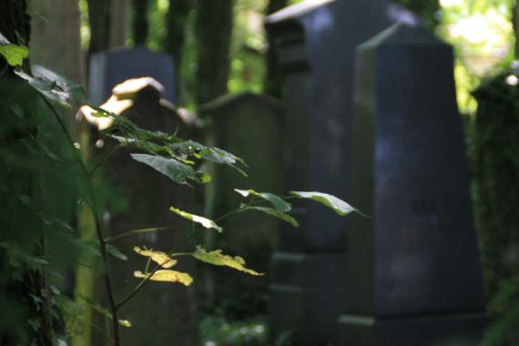 Bayreuth Cemetery - HdBG/Reinicke