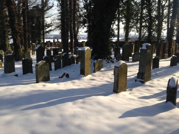 Wilhermsdorf Jüdischer Friedhof  - HdBG/Hollenbacher