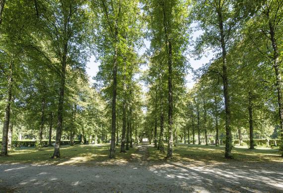 München KZ Friedhof/Gedenkstätte Perlacher Forst Brandl